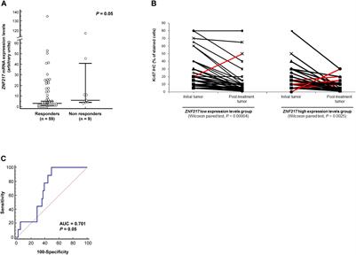 Evaluating ZNF217 mRNA Expression Levels as a Predictor of Response to Endocrine Therapy in ER+ Breast Cancer